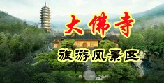 插骚屄的视频中国浙江-新昌大佛寺旅游风景区